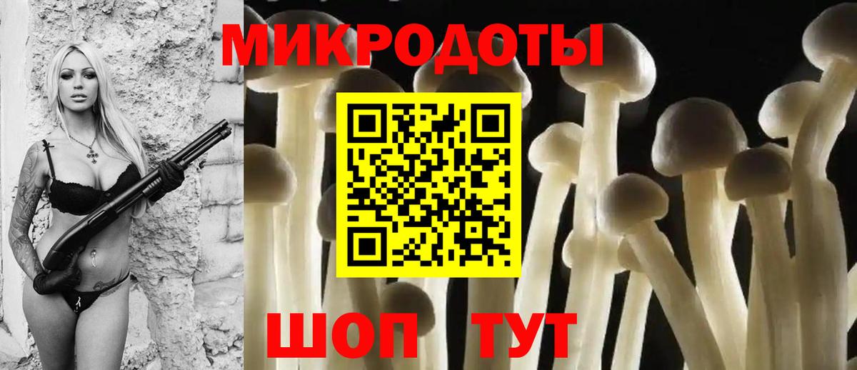 Галлюциногенные грибы MAGIC MUSHROOMS Великий Устюг