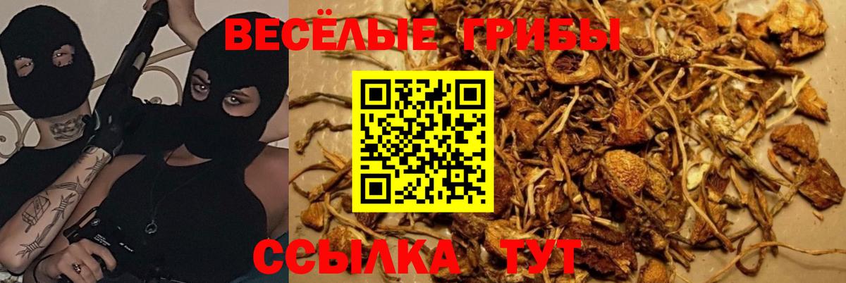 цены   Галлюциногенные грибы мицелий  Вход с VPN  Великий Устюг 